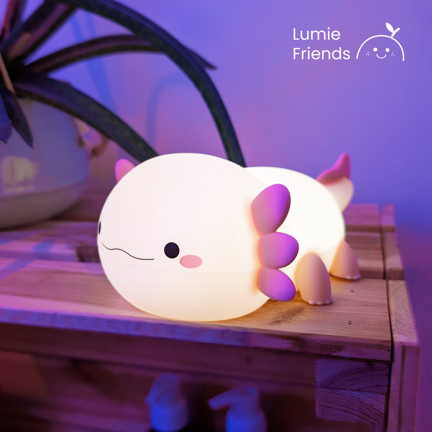 Moona, das mystische Axolotl